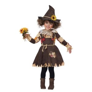 EUC Pumpkin Patch Scarecrow Costume